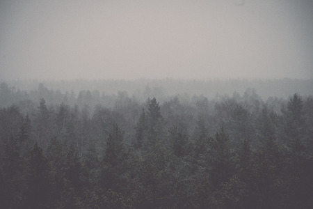 panoramic view of misty forest. far horizon - retro vintage film effectの写真素材