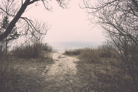 empty country road in spring with perspective and shadows - retro vintage film effectの写真素材