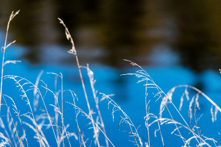 summer landscape of river with clouds and reflections. bents and different plantsの写真素材