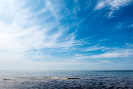 rocky beach in the baltic sea with plants and skylineの写真素材