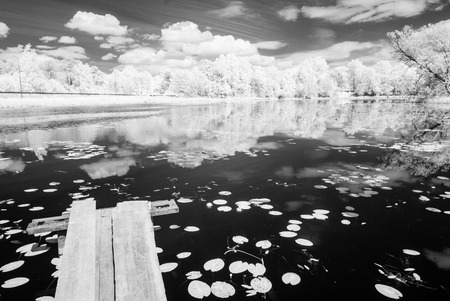 forest lake with water grass and old wooden boardwalk in hot summer day. infrared imageの写真素材