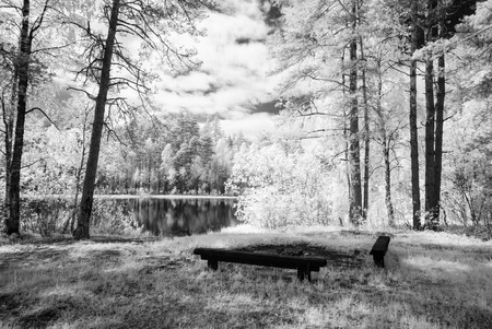 summer forest with harsh shadows and clouds. infrared imageの写真素材
