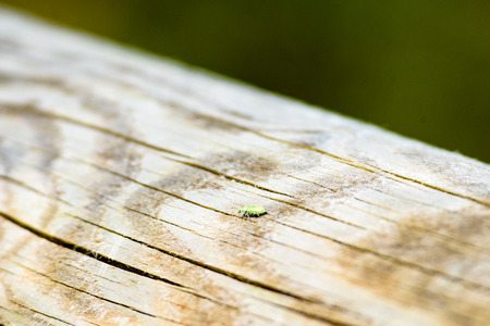 art grunge vintage texture background in natureの写真素材