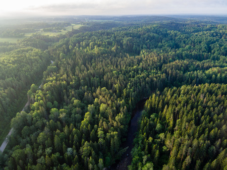 drone image. aerial view of rural area with forest river in summer morningの写真素材