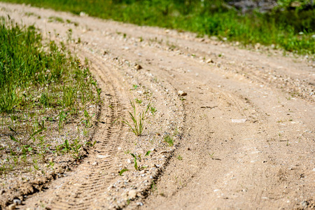 empty road with tire tracks in the countryside with forest in surrounding. perspective in summer with mist and green treesの写真素材