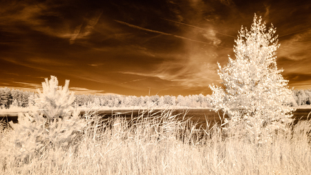 infrared camera image. colored. reflections of clouds in water in countrysideの写真素材