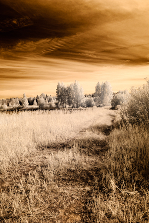 infrared camera image. colored. open green fields with flowers in meadows and some treesの写真素材