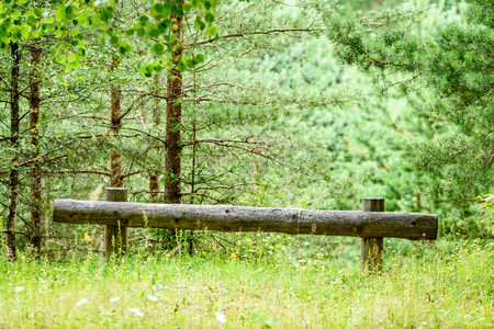 old wooden fence in  beautiful park in autumn in colorful morningの写真素材