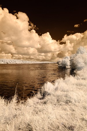 reflections in the lake in countryside summer. infrared imageの写真素材