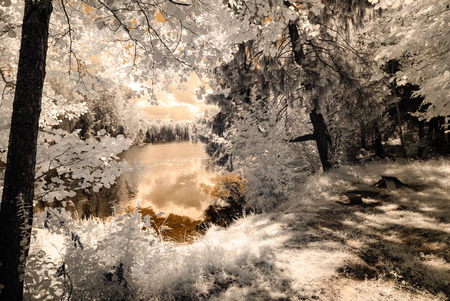 countryside fields and forests in summer. infrared imageの写真素材