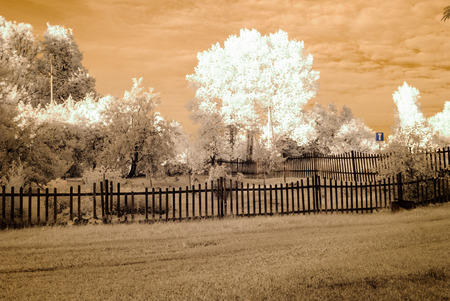 countryside fields and forests in summer. infrared imageの写真素材