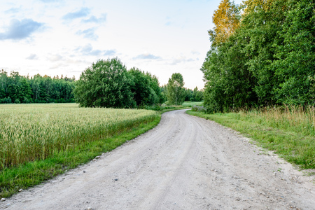 country road with sun rays and shadows in the morningの写真素材