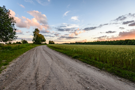 country road with sun rays and shadows in the morningの写真素材