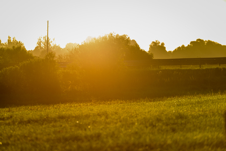 countryside fields in summer with rolls of hay and forests in background in morning sunの写真素材