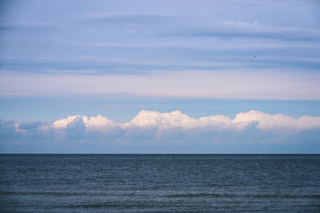 seagulls on the beach with blue clouds in background looking for food - vintage film lookの写真素材