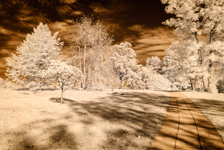 public forest park view in Turaida Sigulda, Latvia with contrasty clouds above. infrared imageの写真素材