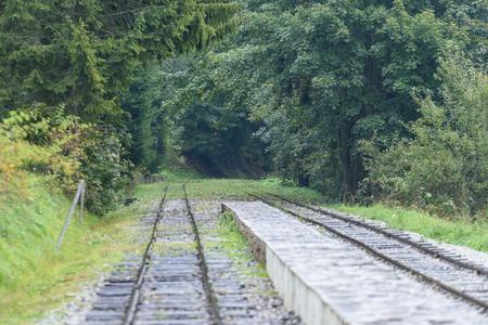 wavy railroad tracks in wet summer day in forest with green meadow on horizonの写真素材