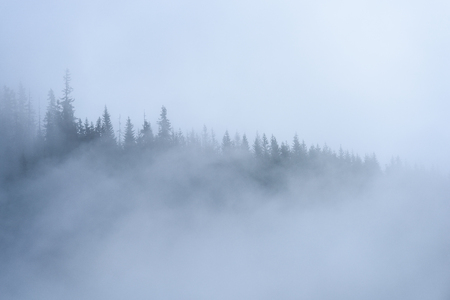 panoramic view of of mountains in misty forest. far horizon.の写真素材