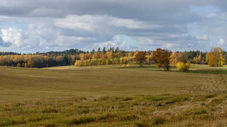countryside fields in autumn with lonely gold colored trees and cloudy skyの写真素材
