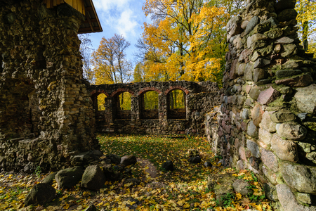 sunny autumn morning in the woods. forest with tree trunks, sun and rays of lightの写真素材
