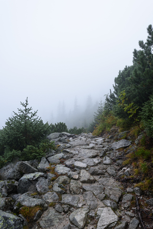 western carpathian mountain tourist trail track on rocky surface in  autumn covered in mistの写真素材