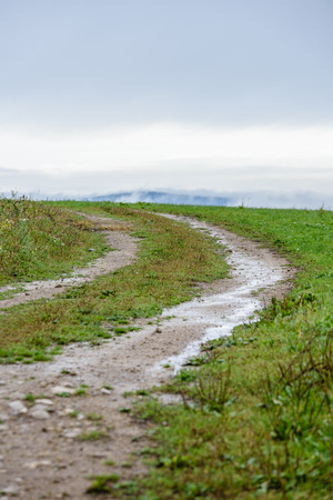 empty gravel road in the countryside with trees in surrounding. perspective in summer colorsの写真素材