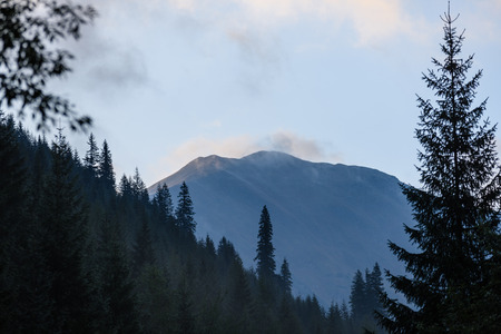 panoramic view of misty forest. far horizon. mountain area in slovakia  with mountains hiding behind...