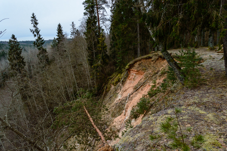 sandstone cliffs. natural environmental detail view in latviaの写真素材