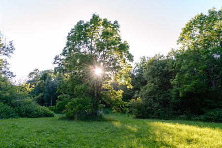 beautiful countryside landscape. natural environmental detail view in latviaの写真素材