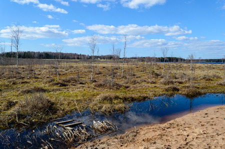 empty fields in autumn in countryside. nature in latvia