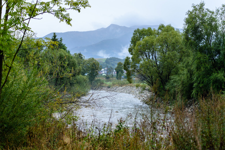 mountain river in summer with stream and high water in forestの写真素材