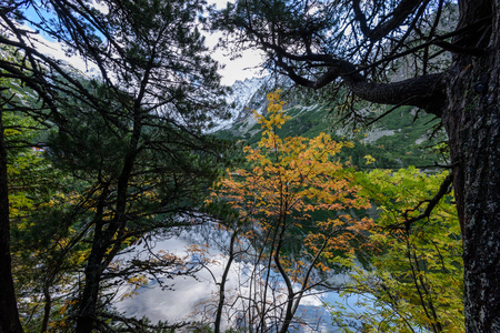 slovakian carpathian mountain lake reflections in autumn. sunny day for hiking. popradske plesoの写真素材