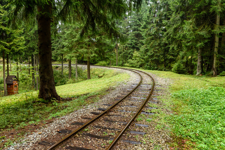 wavy railroad tracks in wet summer day in forest with green meadow on horizonの写真素材