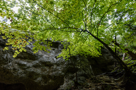 scenic and beautiful tourism trail in the park Slovensky raj, Slovakia. with ladders and bridgesの写真素材