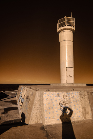 forest by the lake in hot summer day. tree leaves and reflections in water. infrared colored imageの写真素材