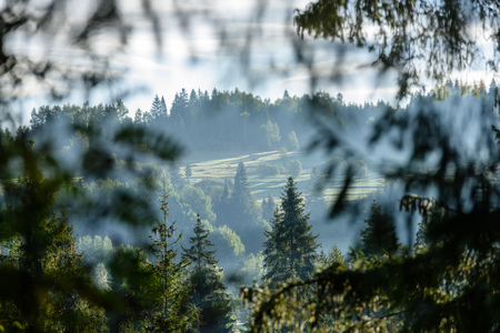 slovakian carpathian mountains in autumn with green forests. nice day for hiking