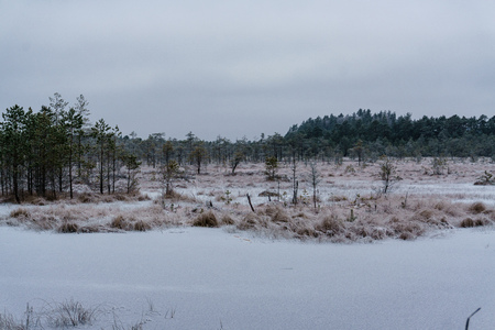 frozen country side by the forest covered with snowの写真素材