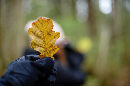young woman with hat enjoying nature in autumn in forestの写真素材