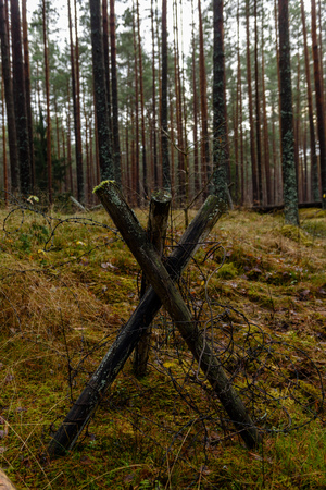 old wooden trenshes in Latvia. reconstruction of first world war. Lozmetejkalnsの写真素材
