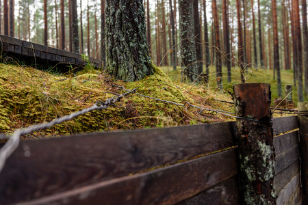 old wooden trenshes in Latvia. reconstruction of first world war. Lozmetejkalnsの写真素材