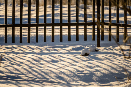 wooden plank fence details  in countryside in winter time, with lots of snow and frozen iceの写真素材