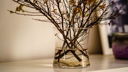 wedding decorations theme, flowers and champagne in white interiorの写真素材