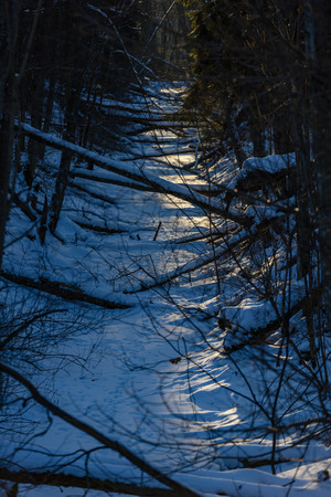 shadows in snow. winter in countryside cold day with frostの写真素材