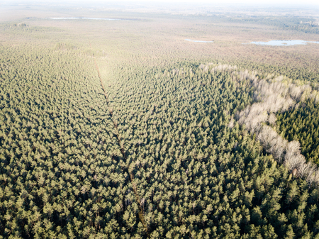 drone image. aerial view of rural area with fields and forests in cloudy spring day. latviaの写真素材