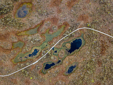 drone image. aerial view of swamp area with foot walk trails. latvia