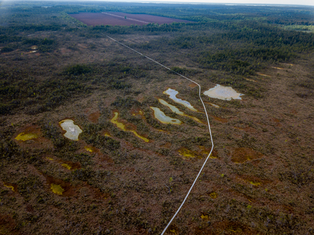 drone image. aerial view of swamp lake in cloudy spring day. latvia