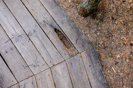 wooden boardwalk in swamp tourist trail with trees, resting area and sun rays in colorful summer weatherの写真素材