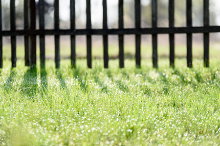 early morning in the countryside garden with old wooden fence and sun rays in summerの写真素材