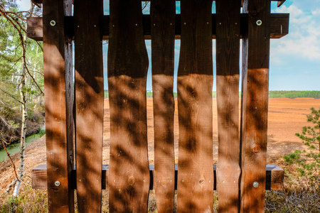 Abandoned ruins of old wooden building in latvia countryside in summer with foliageの写真素材