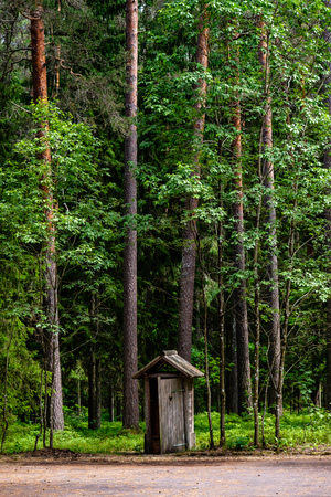 Abandoned ruins of old wooden toilet in latvia countryside in summer with foliageの写真素材